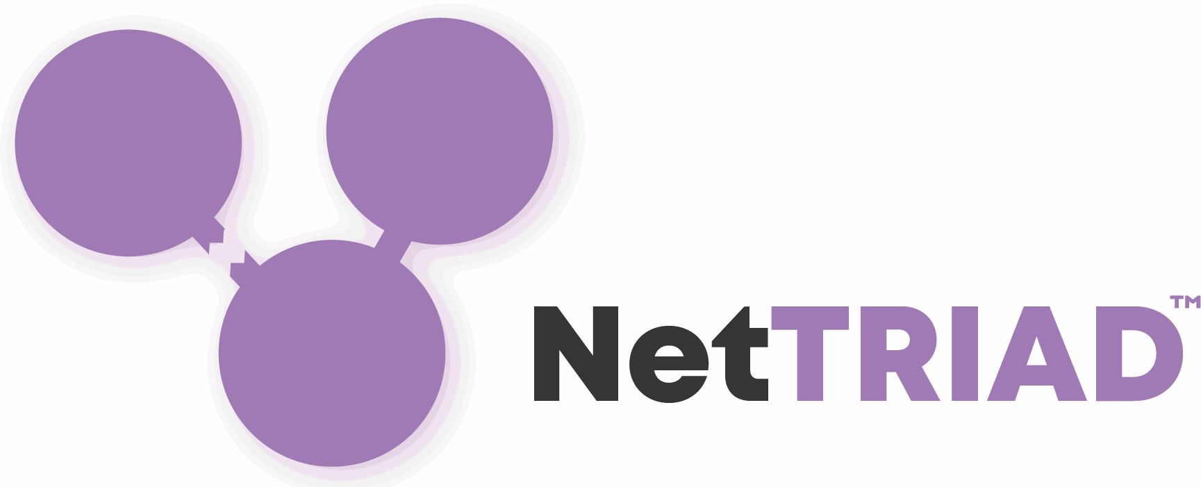NetTriad LOGO